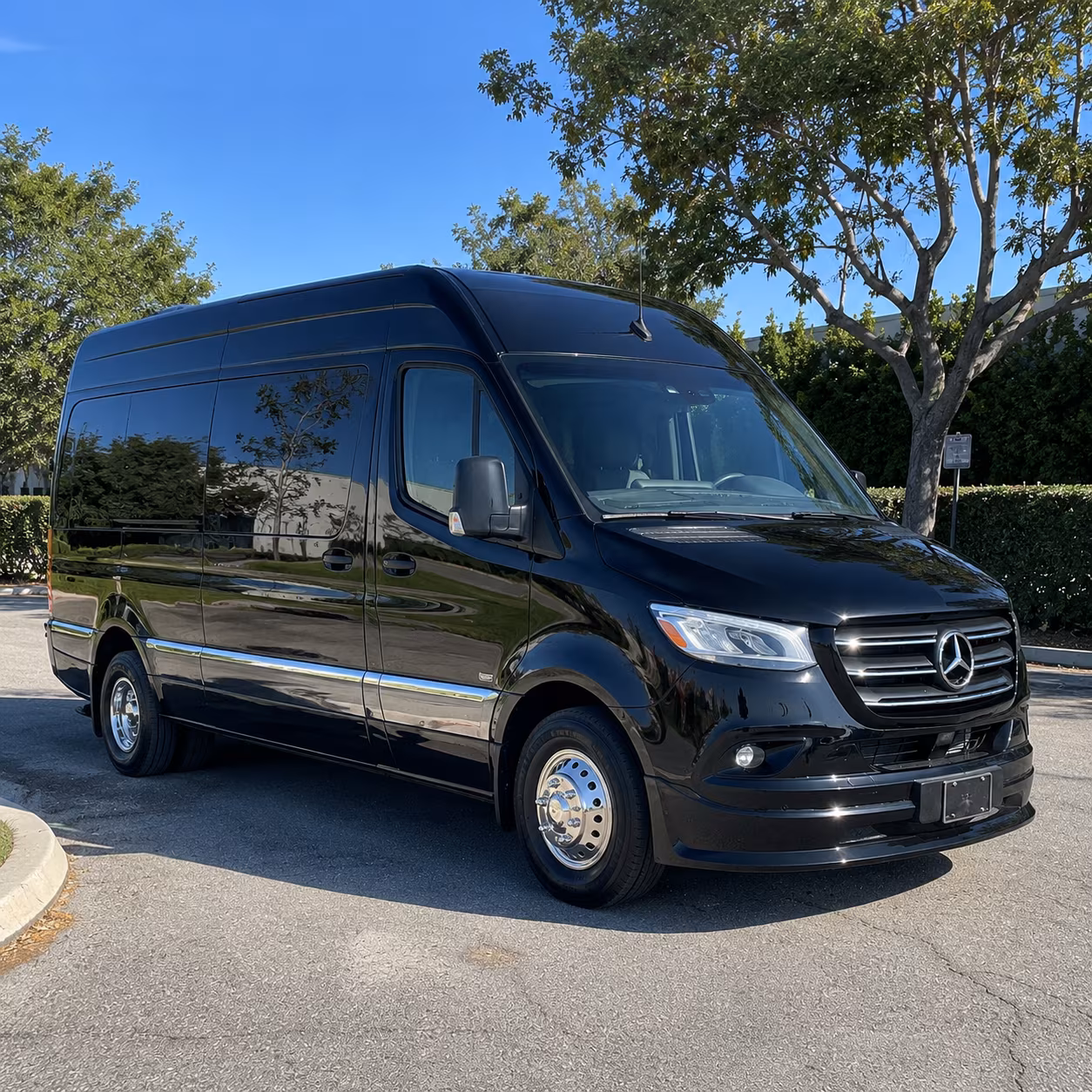 centennial sprinter van with driver